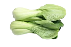 Bok Choy